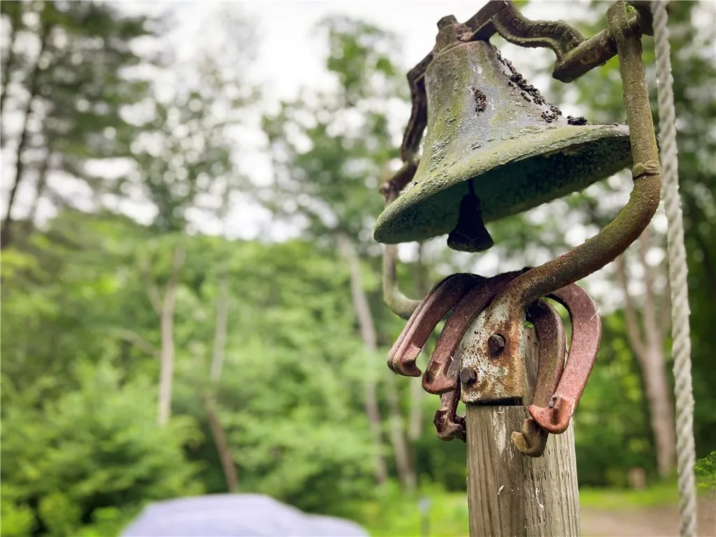 6754 West Hollow Road, South Bristol, New York 145, South Bristol, New York 14512, 1 Bedroom Bedrooms, ,1 BathroomBathrooms,Land,Closed,6754 West Hollow Road, South Bristol, New York 145,0,R1633784