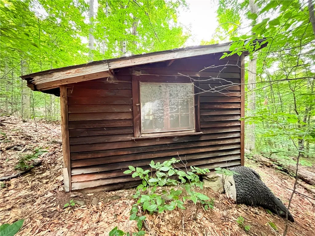 6754 West Hollow Road, South Bristol, New York 145, South Bristol, New York 14512, 1 Bedroom Bedrooms, ,1 BathroomBathrooms,Land,Closed,6754 West Hollow Road, South Bristol, New York 145,0,R1633784