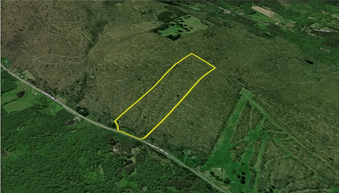 6754 West Hollow Road, South Bristol, New York 145, South Bristol, New York 14512, 1 Bedroom Bedrooms, ,1 BathroomBathrooms,Land,Closed,6754 West Hollow Road, South Bristol, New York 145,0,R1633784