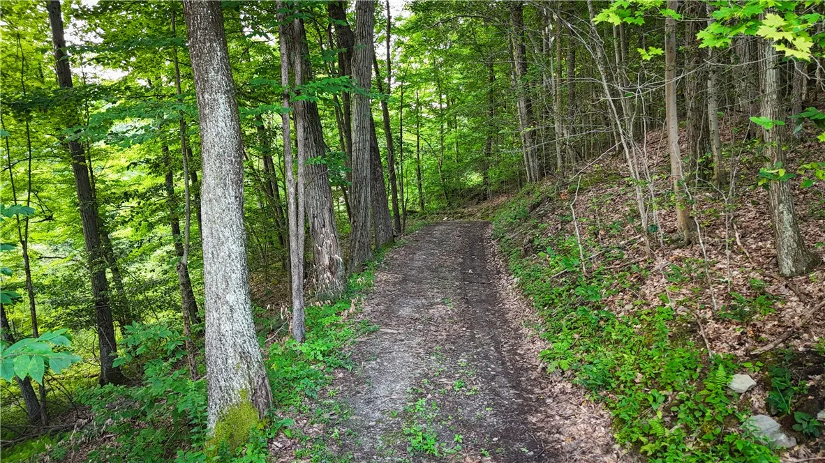 6754 West Hollow Road, South Bristol, New York 145, South Bristol, New York 14512, 1 Bedroom Bedrooms, ,1 BathroomBathrooms,Land,Closed,6754 West Hollow Road, South Bristol, New York 145,0,R1633784