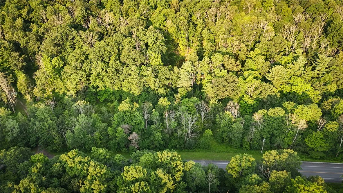 6754 West Hollow Road, South Bristol, New York 145, South Bristol, New York 14512, 1 Bedroom Bedrooms, ,1 BathroomBathrooms,Land,Closed,6754 West Hollow Road, South Bristol, New York 145,0,R1633784