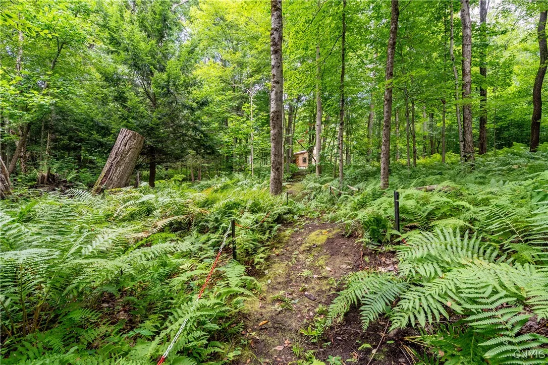 65 County Route 17, Constantia, New York 13028, Constantia, New York 13028, 2 Bedrooms Bedrooms, 3 Rooms Rooms,1 BathroomBathrooms,Residential,Closed,65 County Route 17, Constantia, New York 13028,0,S1633671