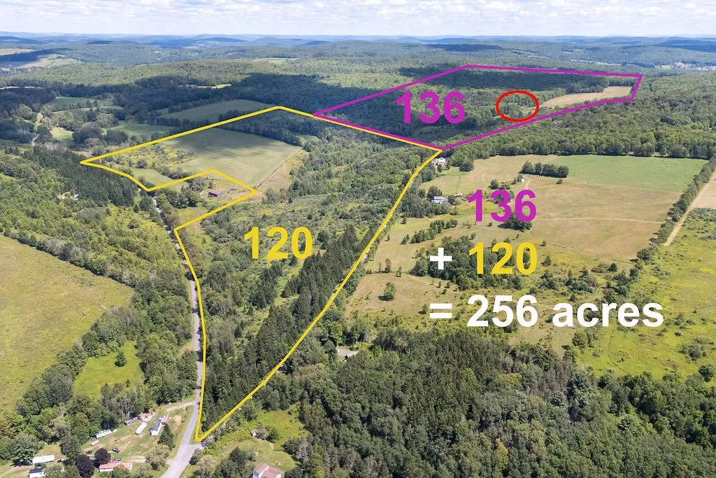 867 Randall Hill Rd, Masonville, New York 13804, Masonville, New York 13804, 3 Bedrooms Bedrooms, 9 Rooms Rooms,1 BathroomBathrooms,Residential,For Sale,867 Randall Hill Rd, Masonville, New York 13804,0,R1634058