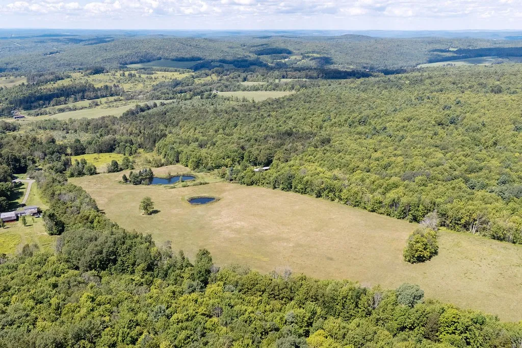 867 Randall Hill Rd, Masonville, New York 13804, Masonville, New York 13804, 3 Bedrooms Bedrooms, 9 Rooms Rooms,1 BathroomBathrooms,Residential,For Sale,867 Randall Hill Rd, Masonville, New York 13804,0,R1634058