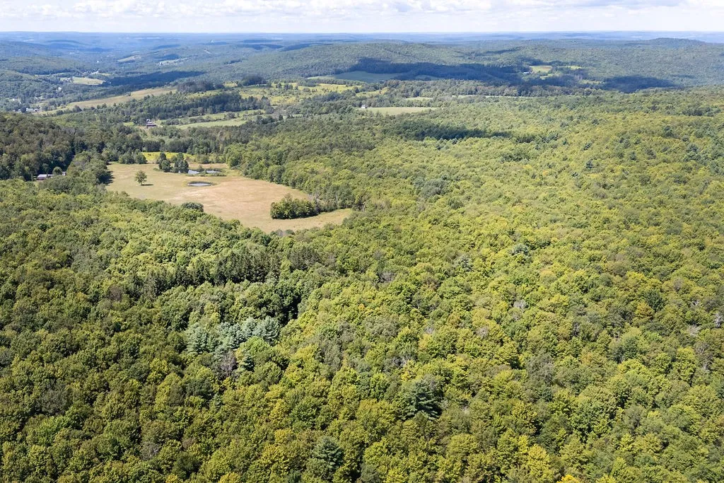 867 Randall Hill Rd, Masonville, New York 13804, Masonville, New York 13804, 3 Bedrooms Bedrooms, 9 Rooms Rooms,1 BathroomBathrooms,Residential,For Sale,867 Randall Hill Rd, Masonville, New York 13804,0,R1634058