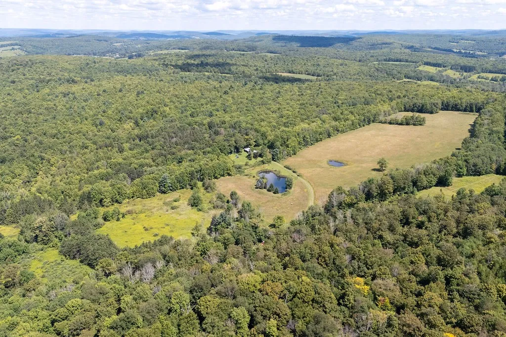 867 Randall Hill Rd, Masonville, New York 13804, Masonville, New York 13804, 3 Bedrooms Bedrooms, 9 Rooms Rooms,1 BathroomBathrooms,Residential,For Sale,867 Randall Hill Rd, Masonville, New York 13804,0,R1634058