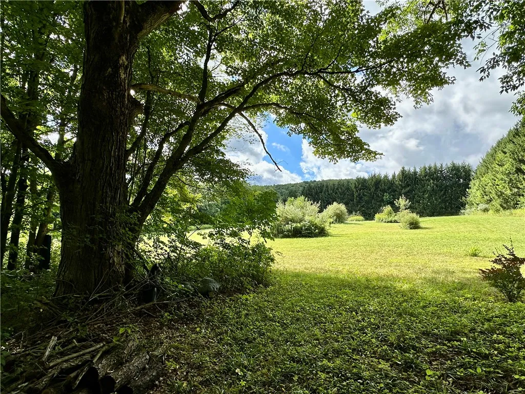 0 Lanning Road, Naples, New York 14512, Naples, New York 14512, ,Land,For Sale,0 Lanning Road, Naples, New York 14512,0,R1633523