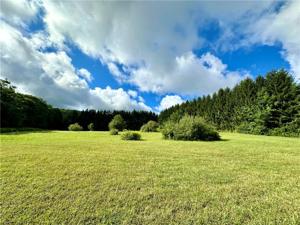 0 Lanning Road, Naples, New York 14512, Naples, New York 14512, ,Land,For Sale,0 Lanning Road, Naples, New York 14512,0,R1633523