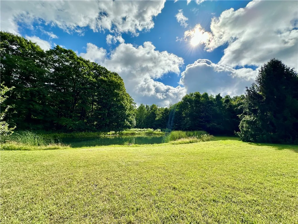 0 Lanning Road, Naples, New York 14512, Naples, New York 14512, ,Land,For Sale,0 Lanning Road, Naples, New York 14512,0,R1633523