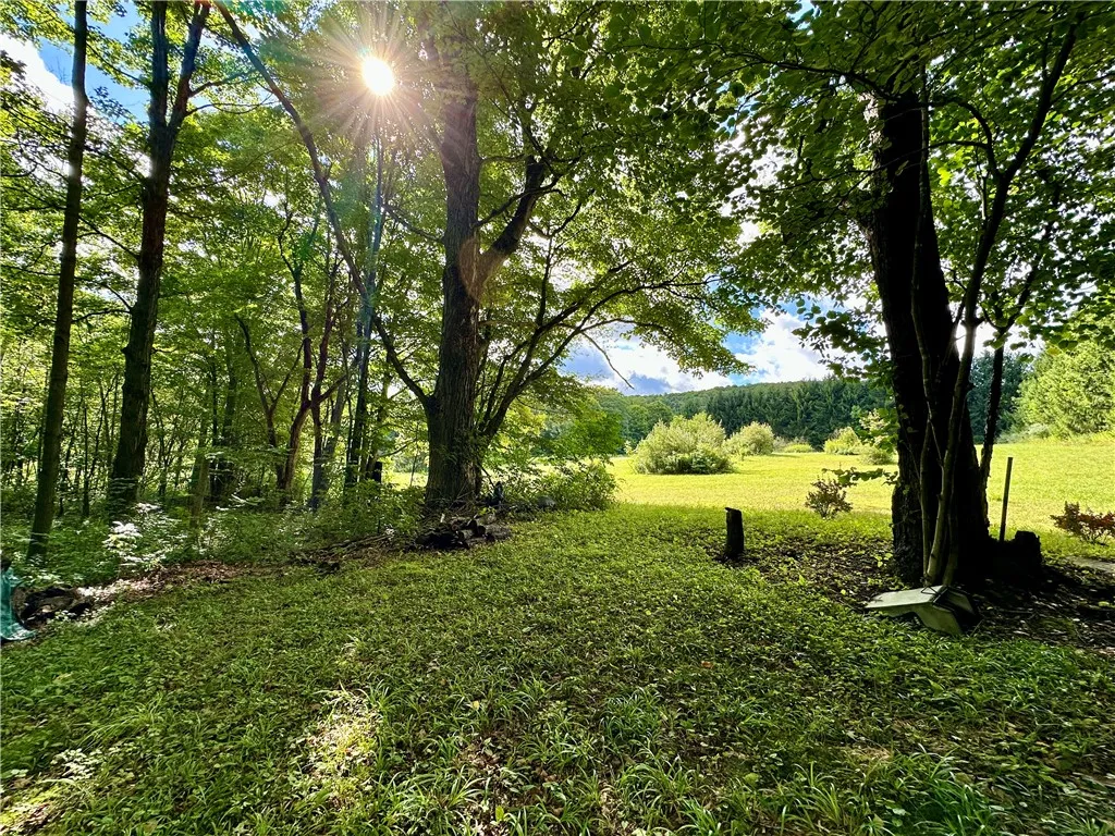 0 Lanning Road, Naples, New York 14512, Naples, New York 14512, ,Land,For Sale,0 Lanning Road, Naples, New York 14512,0,R1633523