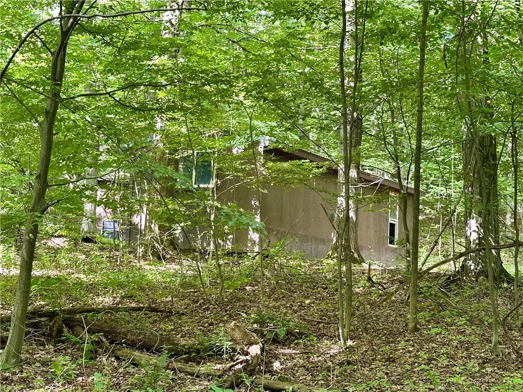 0 Lanning Road, Naples, New York 14512, Naples, New York 14512, ,Land,For Sale,0 Lanning Road, Naples, New York 14512,0,R1633523