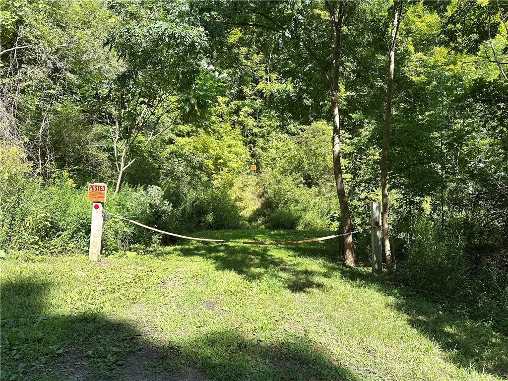 0 Lanning Road, Naples, New York 14512, Naples, New York 14512, ,Land,For Sale,0 Lanning Road, Naples, New York 14512,0,R1633523