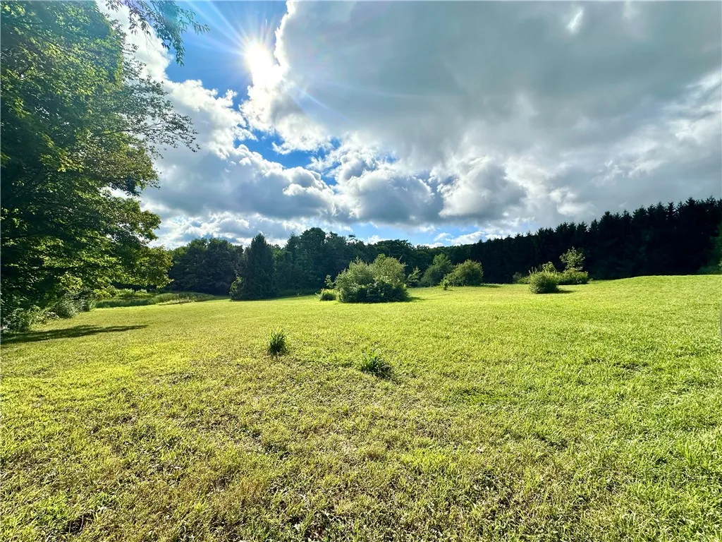 0 Lanning Road, Naples, New York 14512, Naples, New York 14512, ,Land,For Sale,0 Lanning Road, Naples, New York 14512,0,R1633523