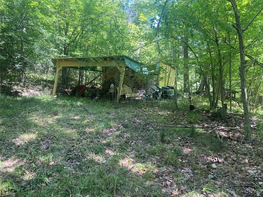 Snowball Hollow Road, Scio, New York 14880, Scio, New York 14880, 3 Bedrooms Bedrooms, ,1 BathroomBathrooms,Land,For Sale,Snowball Hollow Road, Scio, New York 14880,0,S1634135