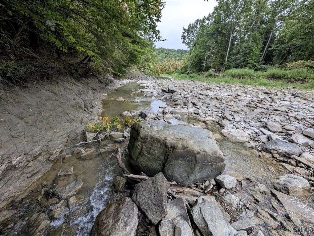 State Route 417, Woodhull, New York 14898, Woodhull, New York 14898, ,Land,For Sale,State Route 417, Woodhull, New York 14898,0,S1634177