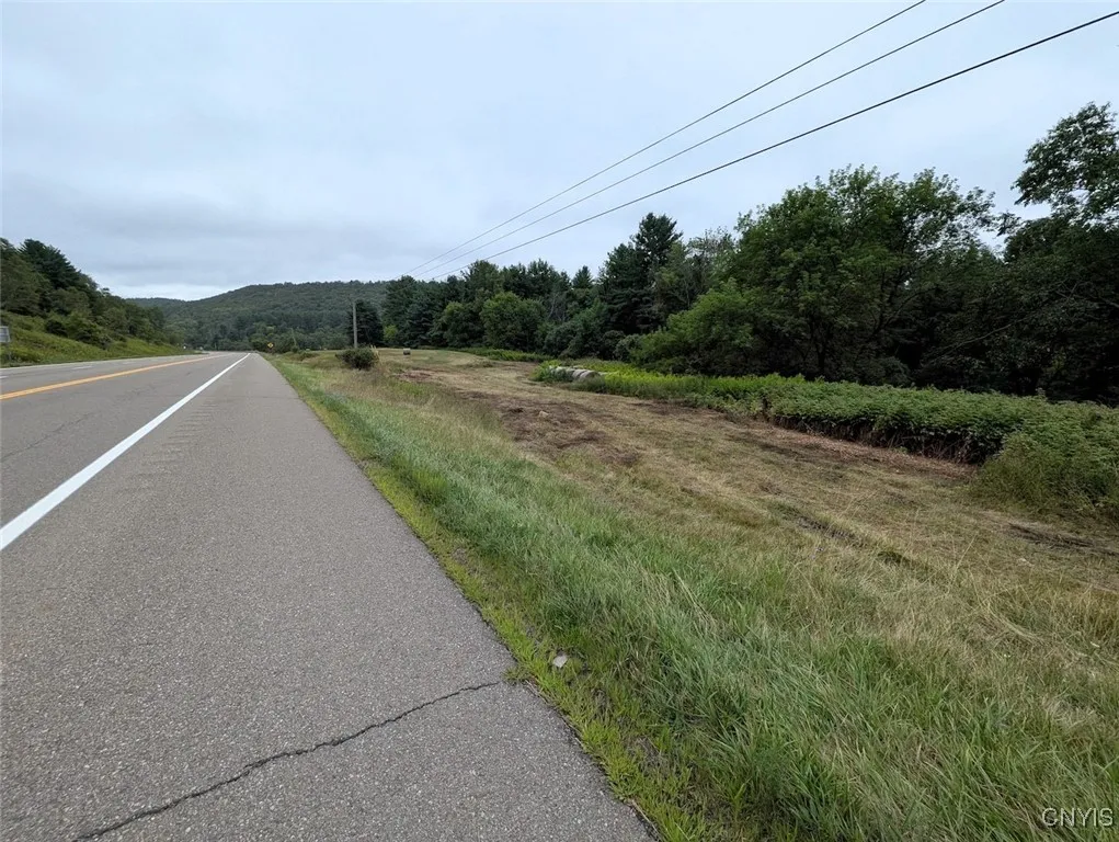 State Route 417, Woodhull, New York 14898, Woodhull, New York 14898, ,Land,For Sale,State Route 417, Woodhull, New York 14898,0,S1634177