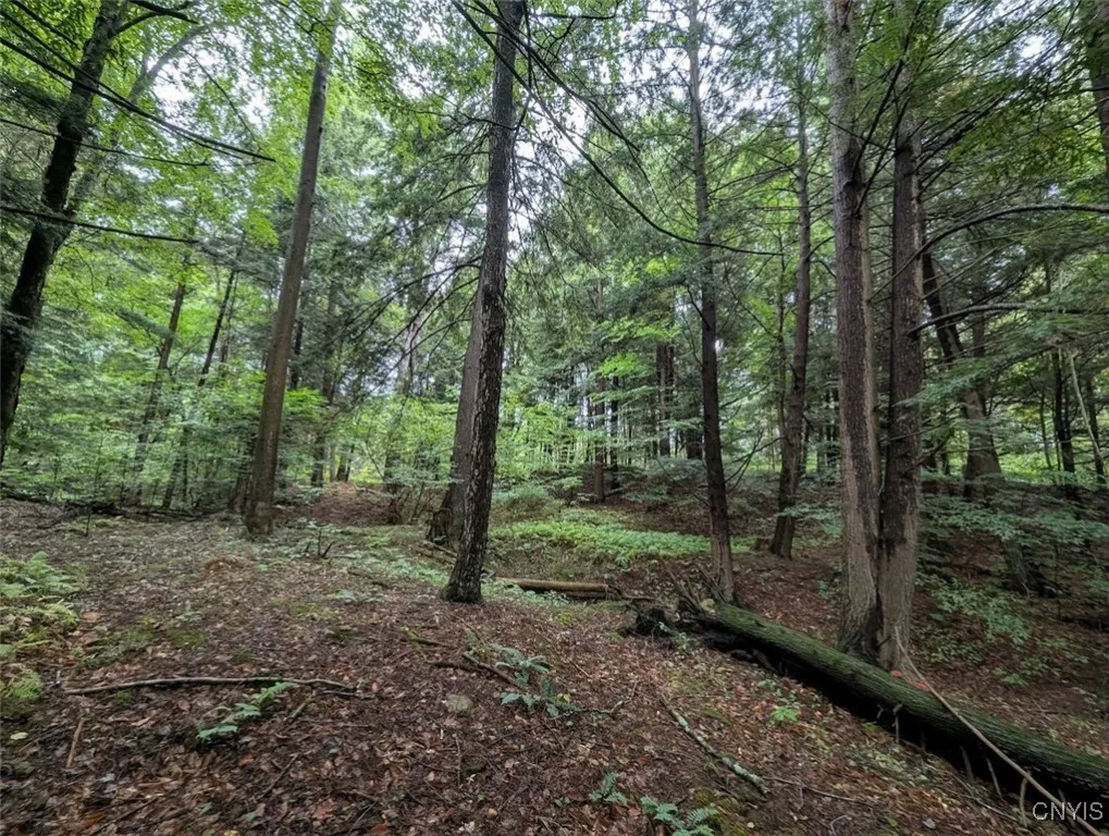 State Route 417, Woodhull, New York 14898, Woodhull, New York 14898, ,Land,For Sale,State Route 417, Woodhull, New York 14898,0,S1634177