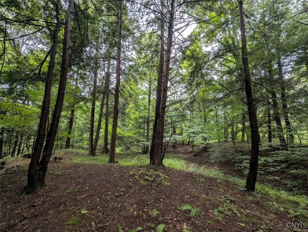 State Route 417, Woodhull, New York 14898, Woodhull, New York 14898, ,Land,For Sale,State Route 417, Woodhull, New York 14898,0,S1634177