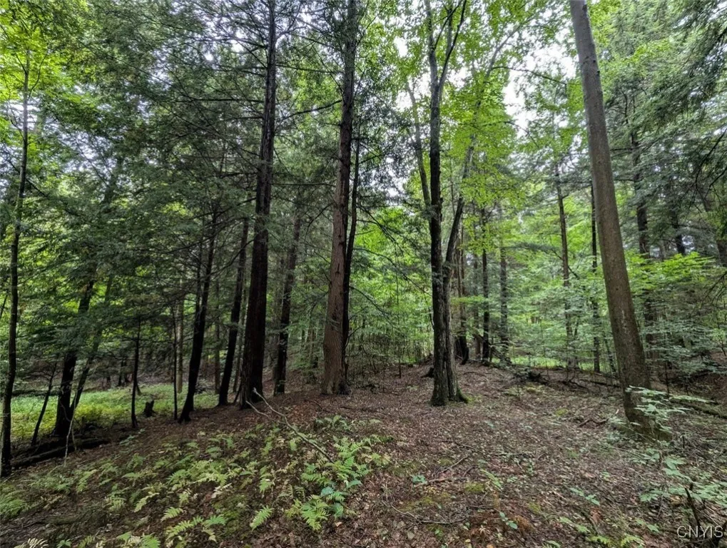 State Route 417, Woodhull, New York 14898, Woodhull, New York 14898, ,Land,For Sale,State Route 417, Woodhull, New York 14898,0,S1634177
