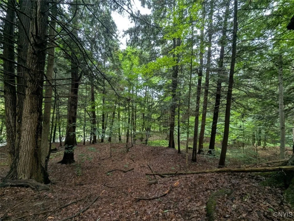 State Route 417, Woodhull, New York 14898, Woodhull, New York 14898, ,Land,For Sale,State Route 417, Woodhull, New York 14898,0,S1634177