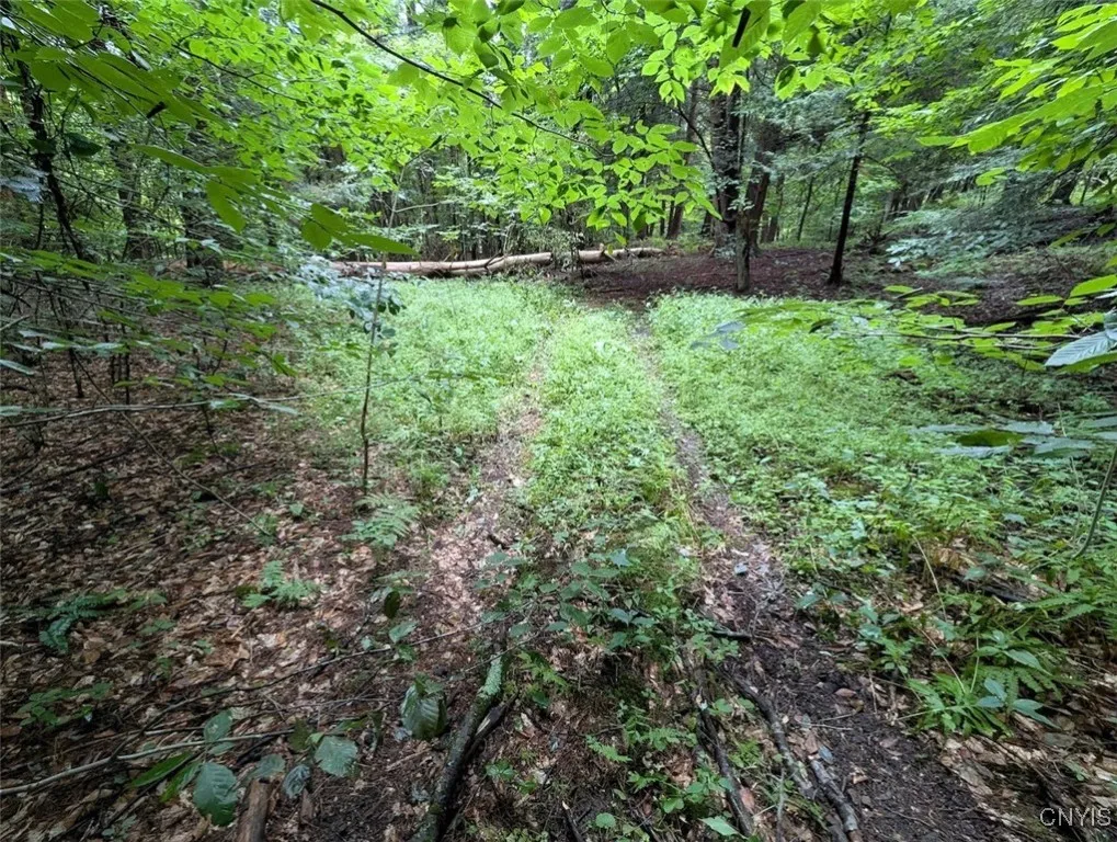 State Route 417, Woodhull, New York 14898, Woodhull, New York 14898, ,Land,For Sale,State Route 417, Woodhull, New York 14898,0,S1634177