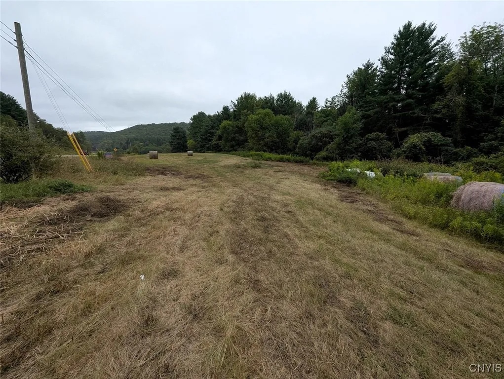 State Route 417, Woodhull, New York 14898, Woodhull, New York 14898, ,Land,For Sale,State Route 417, Woodhull, New York 14898,0,S1634177