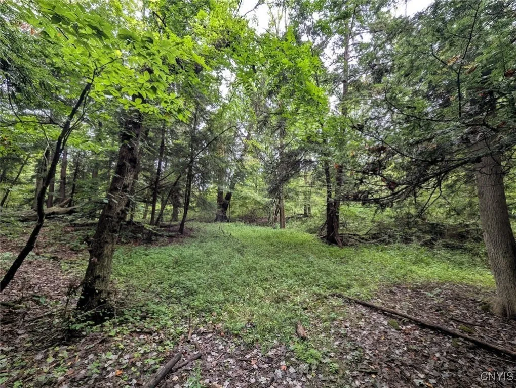 State Route 417, Woodhull, New York 14898, Woodhull, New York 14898, ,Land,For Sale,State Route 417, Woodhull, New York 14898,0,S1634189