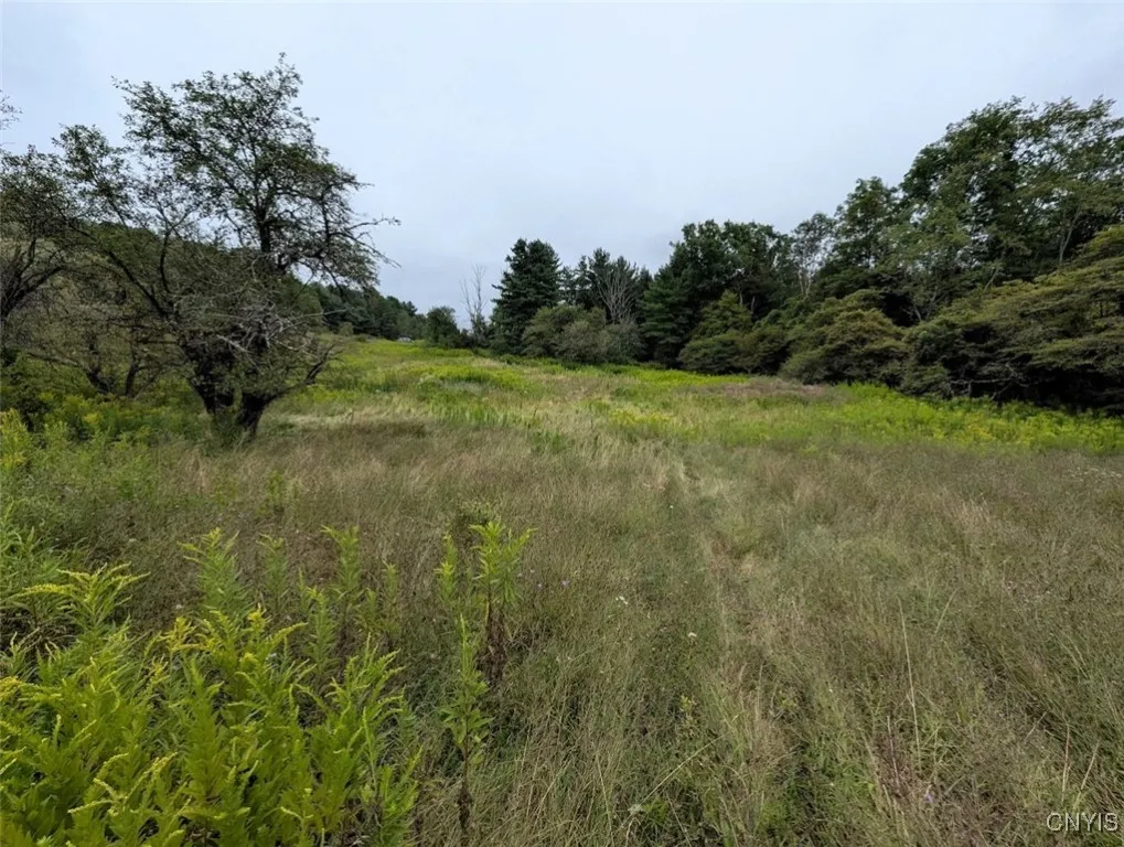 State Route 417, Woodhull, New York 14898, Woodhull, New York 14898, ,Land,For Sale,State Route 417, Woodhull, New York 14898,0,S1634189