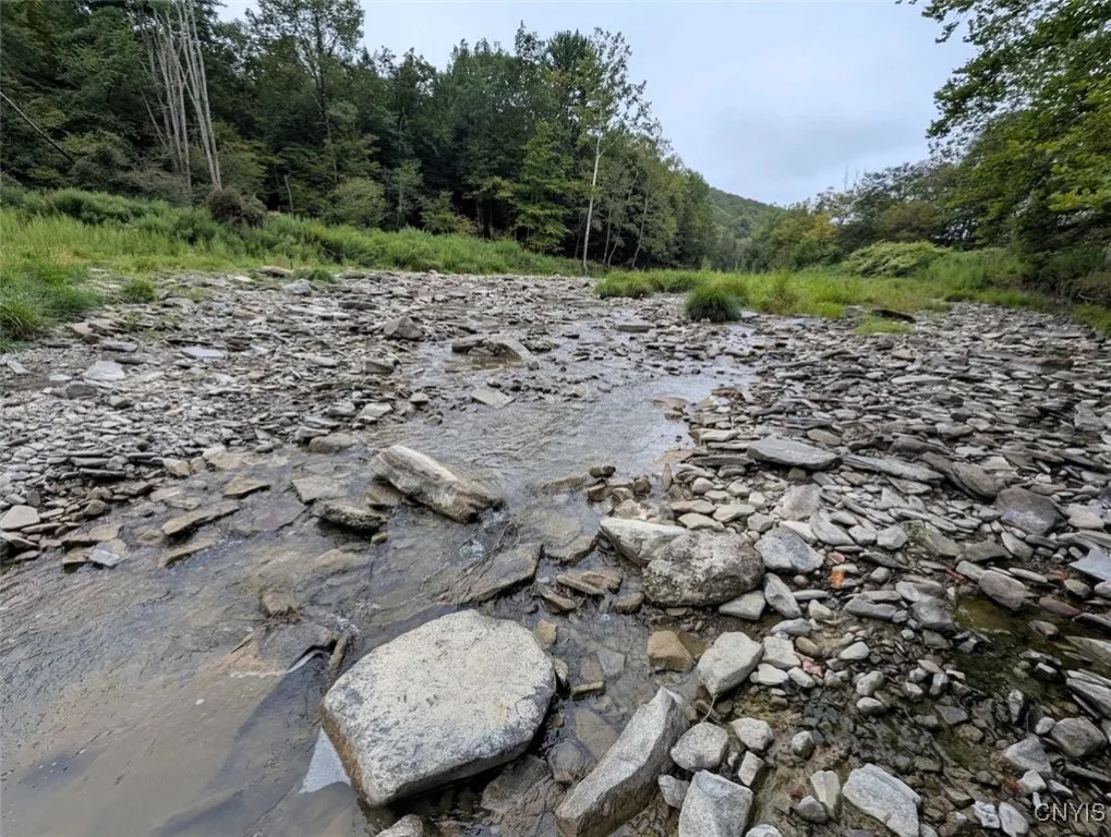 State Route 417, Woodhull, New York 14898, Woodhull, New York 14898, ,Land,For Sale,State Route 417, Woodhull, New York 14898,0,S1634189