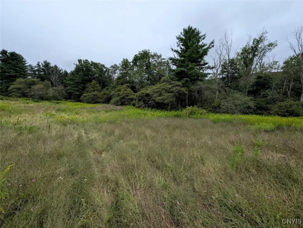State Route 417, Woodhull, New York 14898, Woodhull, New York 14898, ,Land,For Sale,State Route 417, Woodhull, New York 14898,0,S1634189
