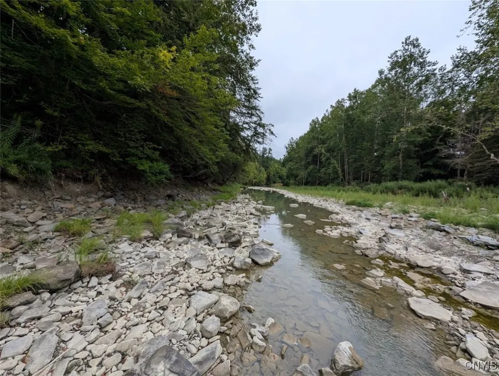 State Route 417, Woodhull, New York 14898, Woodhull, New York 14898, ,Land,For Sale,State Route 417, Woodhull, New York 14898,0,S1634189