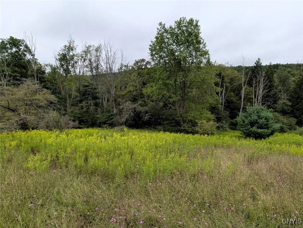 State Route 417, Woodhull, New York 14898, Woodhull, New York 14898, ,Land,For Sale,State Route 417, Woodhull, New York 14898,0,S1634189