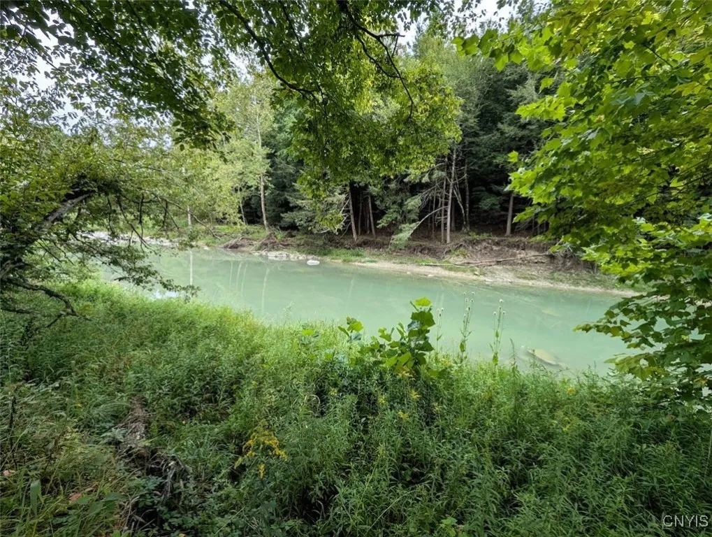 State Route 417, Woodhull, New York 14898, Woodhull, New York 14898, ,Land,For Sale,State Route 417, Woodhull, New York 14898,0,S1634199