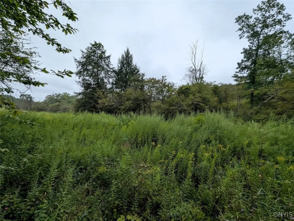 State Route 417, Woodhull, New York 14898, Woodhull, New York 14898, ,Land,For Sale,State Route 417, Woodhull, New York 14898,0,S1634199