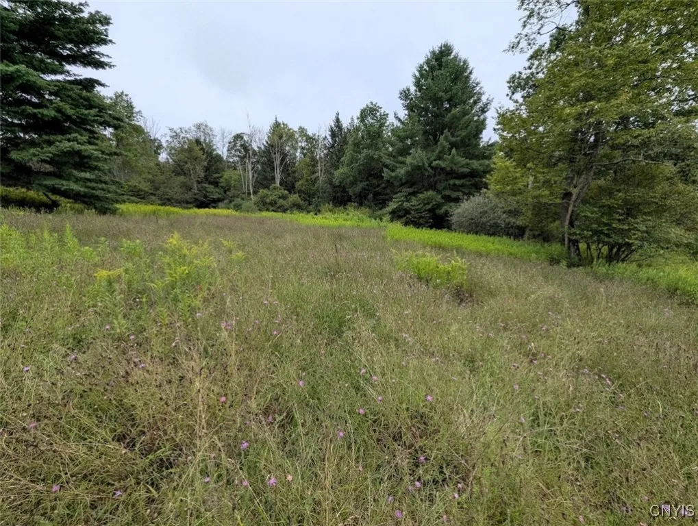 State Route 417, Woodhull, New York 14898, Woodhull, New York 14898, ,Land,For Sale,State Route 417, Woodhull, New York 14898,0,S1634199