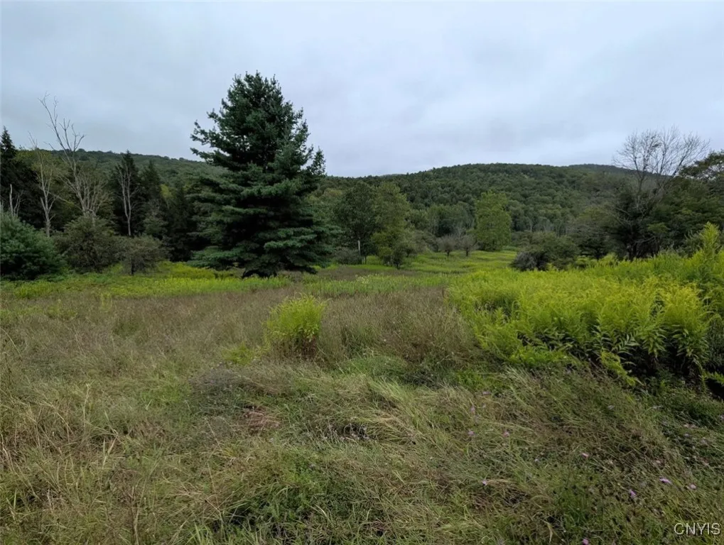 State Route 417, Woodhull, New York 14898, Woodhull, New York 14898, ,Land,For Sale,State Route 417, Woodhull, New York 14898,0,S1634199