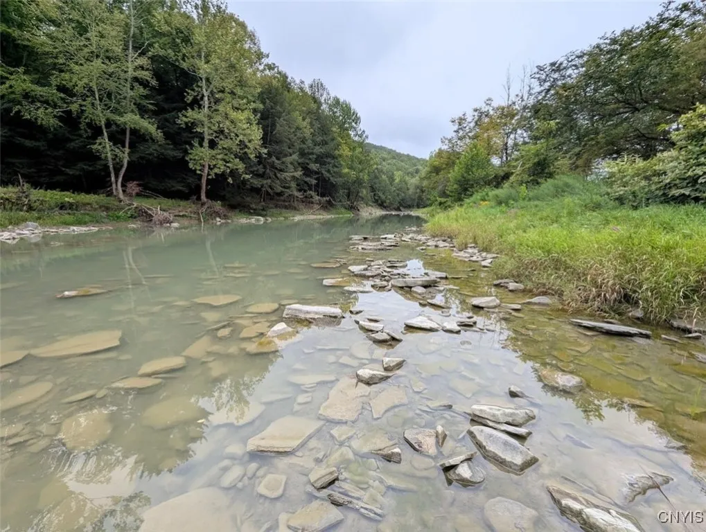 State Route 417, Woodhull, New York 14898, Woodhull, New York 14898, ,Land,For Sale,State Route 417, Woodhull, New York 14898,0,S1634199