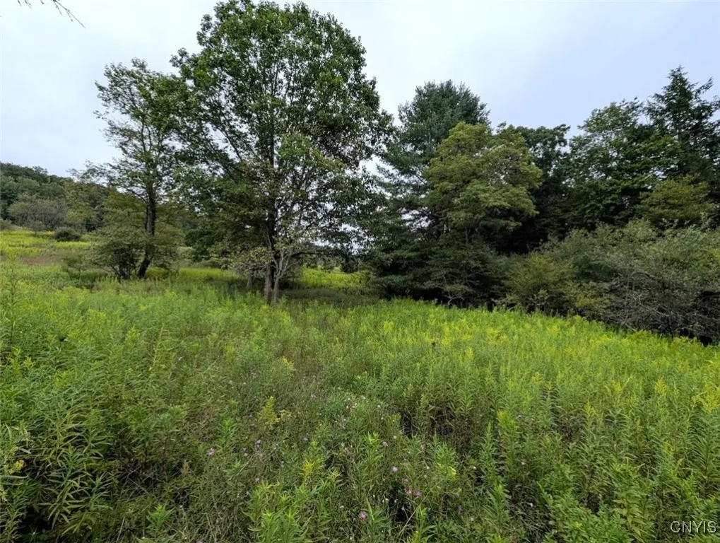 State Route 417, Woodhull, New York 14898, Woodhull, New York 14898, ,Land,For Sale,State Route 417, Woodhull, New York 14898,0,S1634199