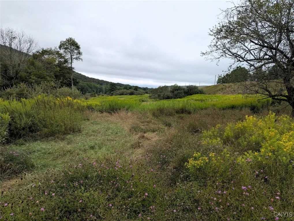 State Route 417, Woodhull, New York 14898, Woodhull, New York 14898, ,Land,For Sale,State Route 417, Woodhull, New York 14898,0,S1634199