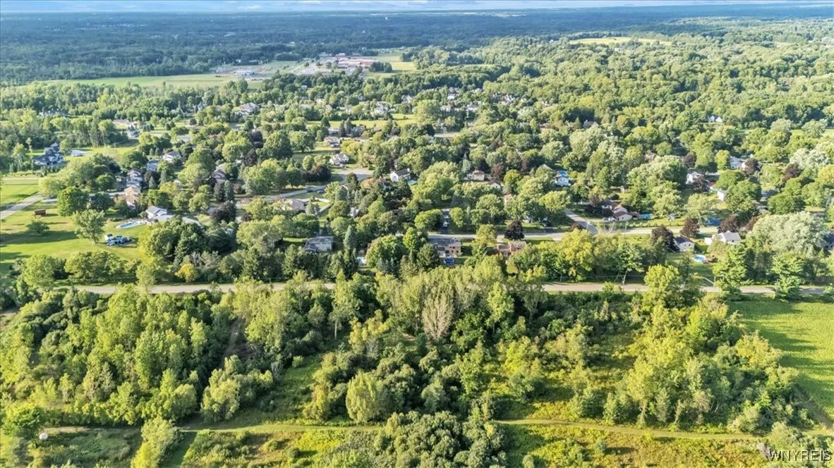 A pleasant walk to Elma Meadows Park