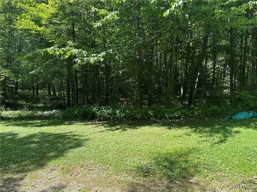 View of property south of the cabin