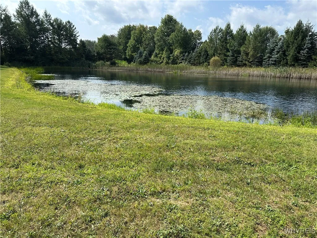 The man made pond view looking South West
