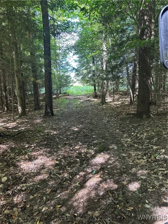 The western trail heading to the 25 acre field with corn
