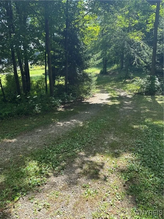 View of side road heading back to the entrance road