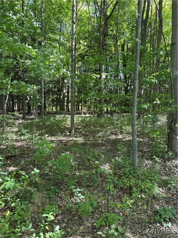 View of property