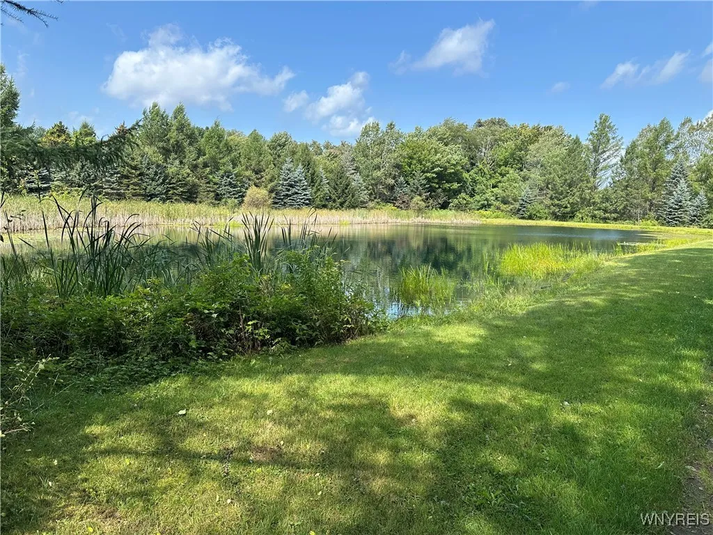 View of man made pond looking north