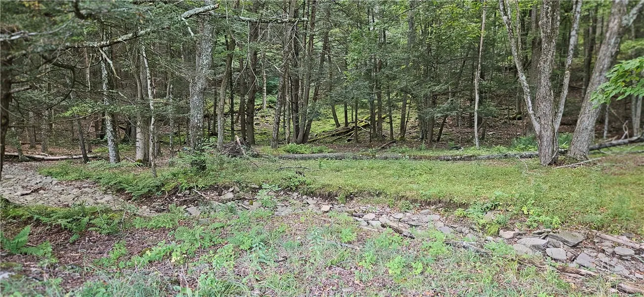 00 Shaver Hollow Road, Andes, New York 13731, Andes, New York 13731, ,Land,For Sale,00 Shaver Hollow Road, Andes, New York 13731,0,R1633932