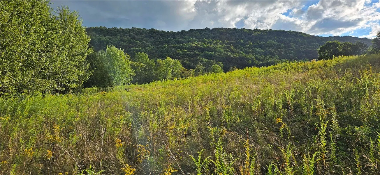 00 Shaver Hollow Road, Andes, New York 13731, Andes, New York 13731, ,Land,For Sale,00 Shaver Hollow Road, Andes, New York 13731,0,R1633932
