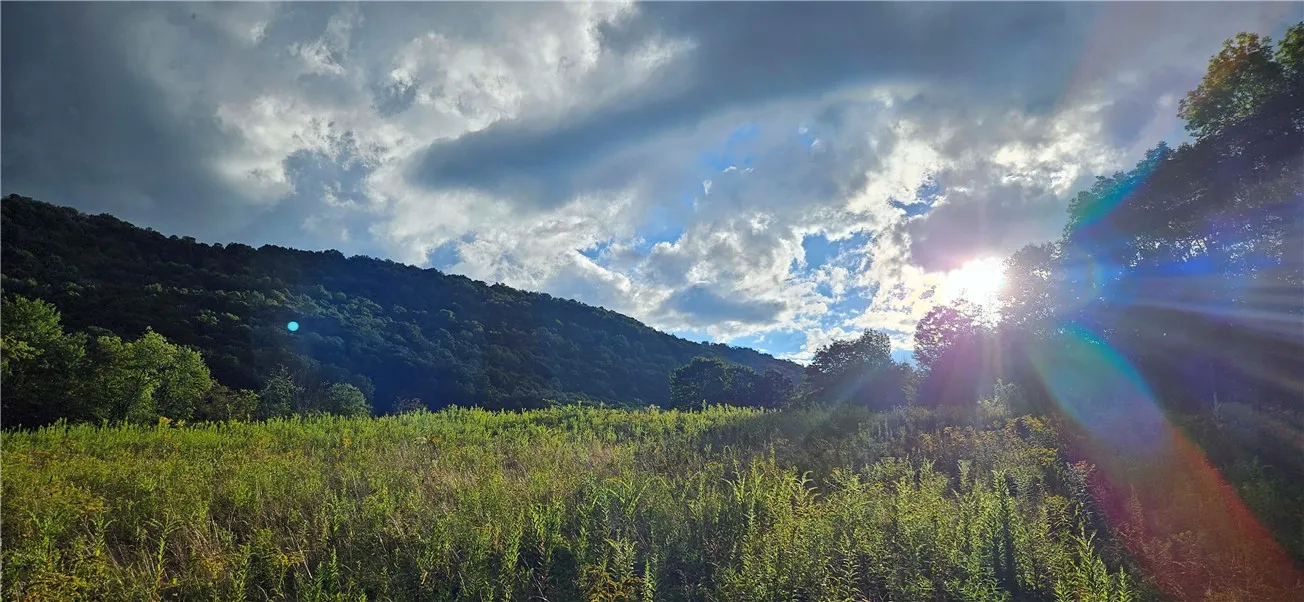 00 Shaver Hollow Road, Andes, New York 13731, Andes, New York 13731, ,Land,For Sale,00 Shaver Hollow Road, Andes, New York 13731,0,R1633932