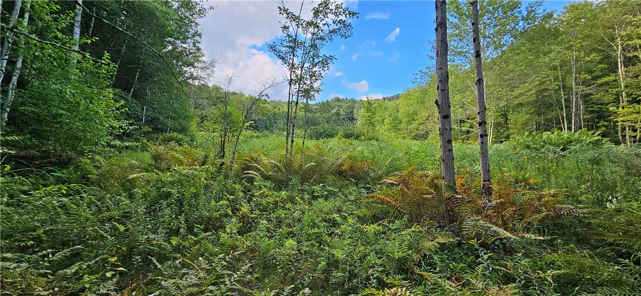 00 Shaver Hollow Road, Andes, New York 13731, Andes, New York 13731, ,Land,For Sale,00 Shaver Hollow Road, Andes, New York 13731,0,R1633932